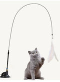 Cat teasing toy only for 12.99